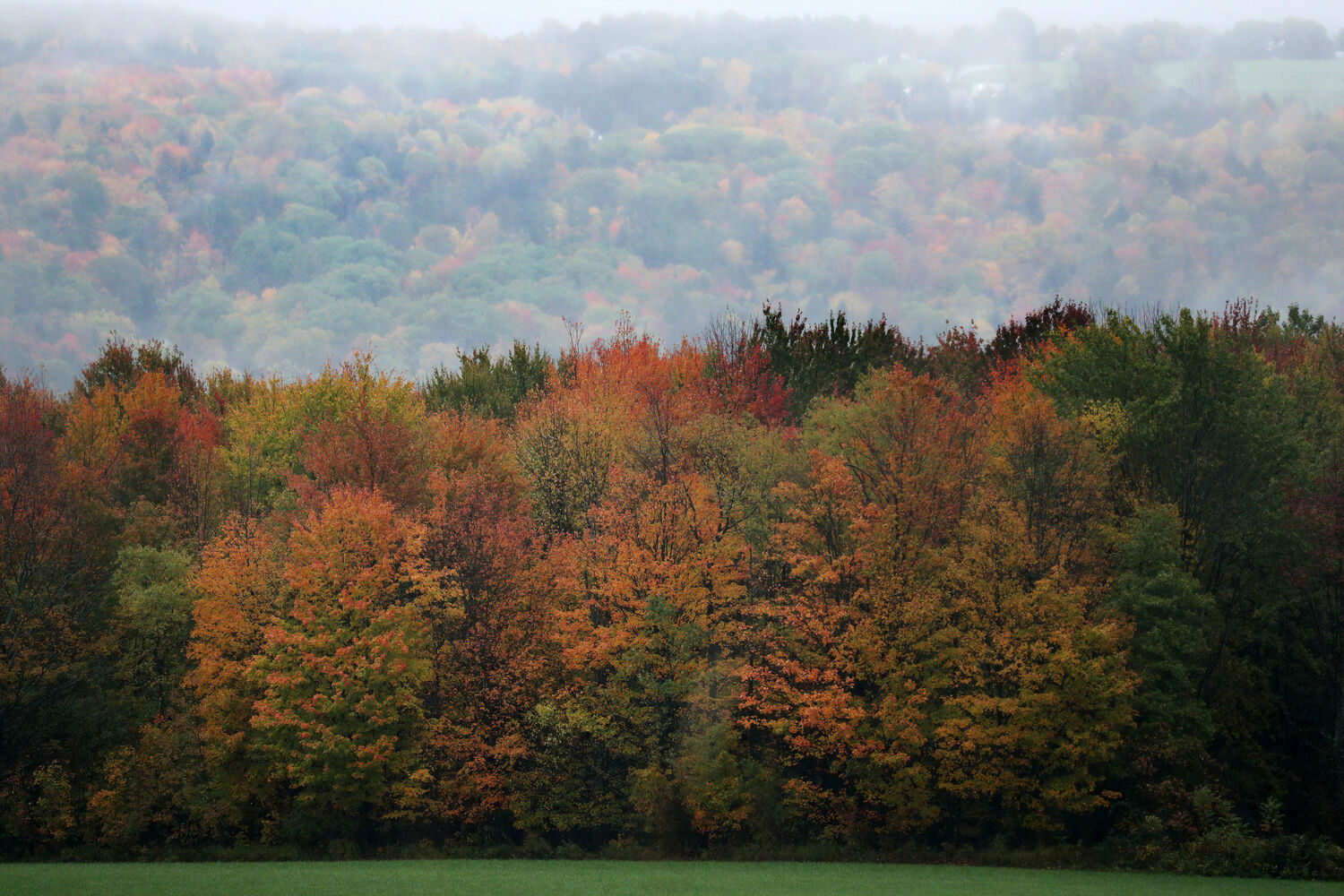 Fall and fog